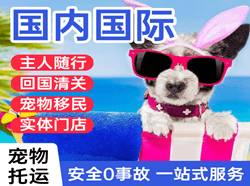 上饶三清山航空快运国际宠物托运 【国